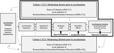 Sport participation, acculturative stress, and depressive symptoms among international college students in the United States